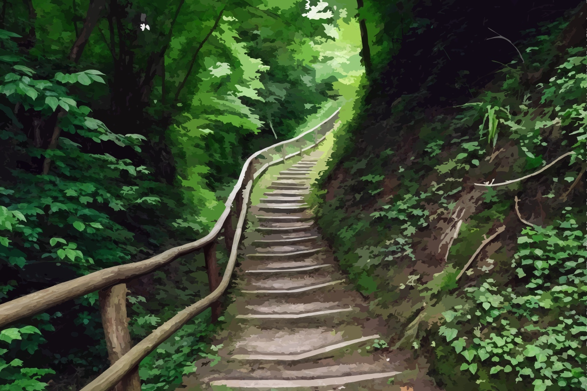 Choose Your Path
